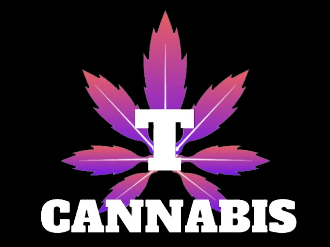T Cannabis - T Cannabis - Sioux Lookout store front