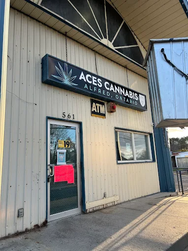 Aces Cannabis - Aces Cannabis - Alfred store front