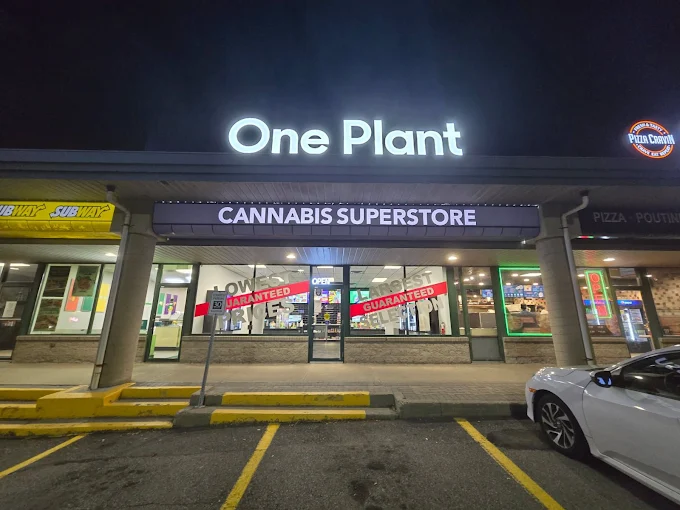 One Plant Kitchener store front