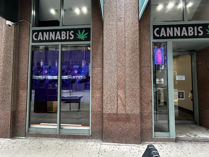shinybud cannabis co. king store front