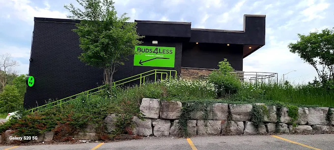 Buds 4 Less store front
