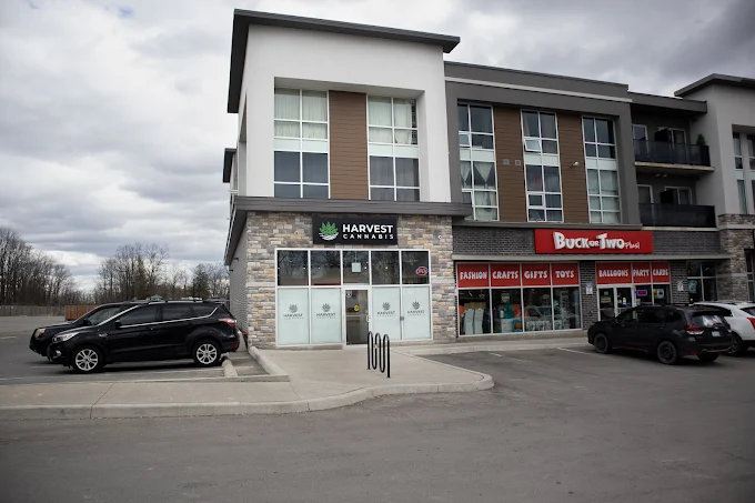 Harvest Cannabis store front