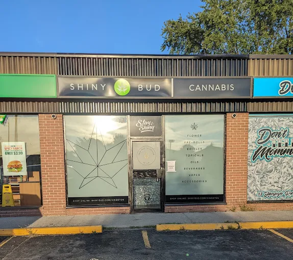 HIGH CANNABIS 83 store front
