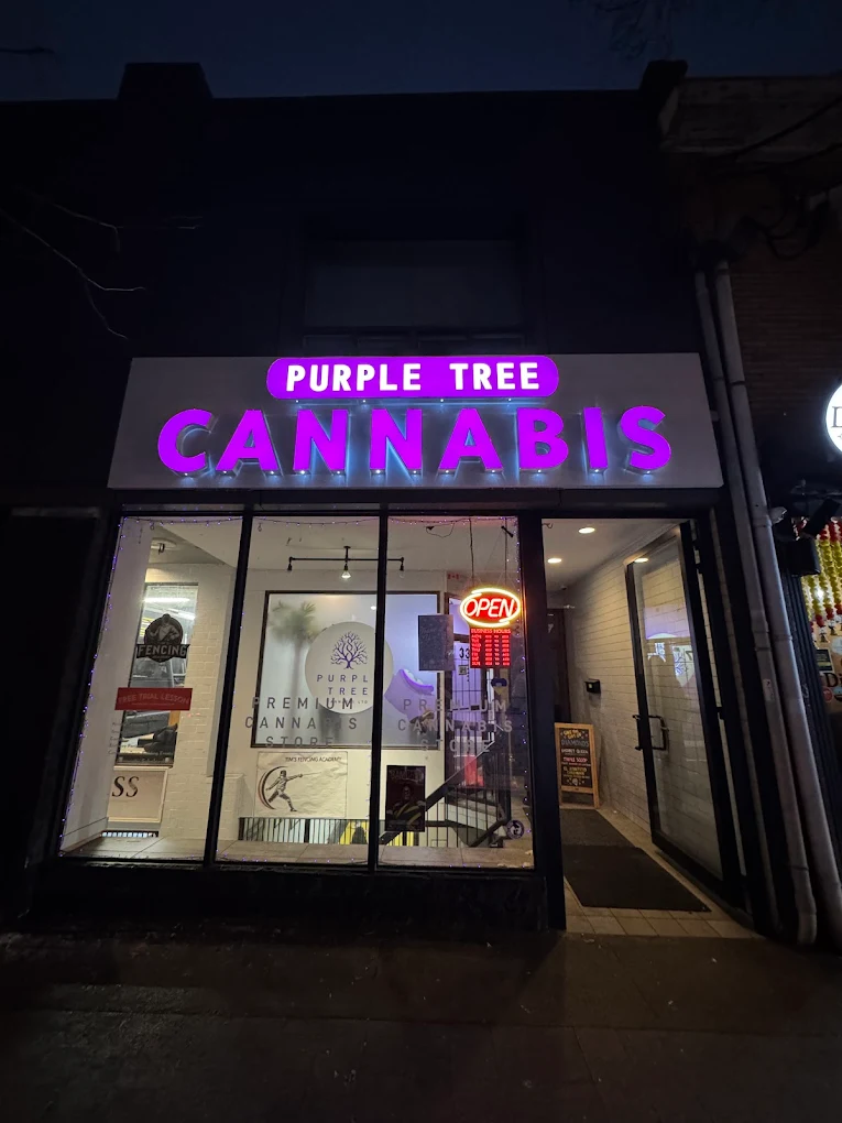 Purple Tree Cannabis - Purple Tree Cannabis - Toronto store front
