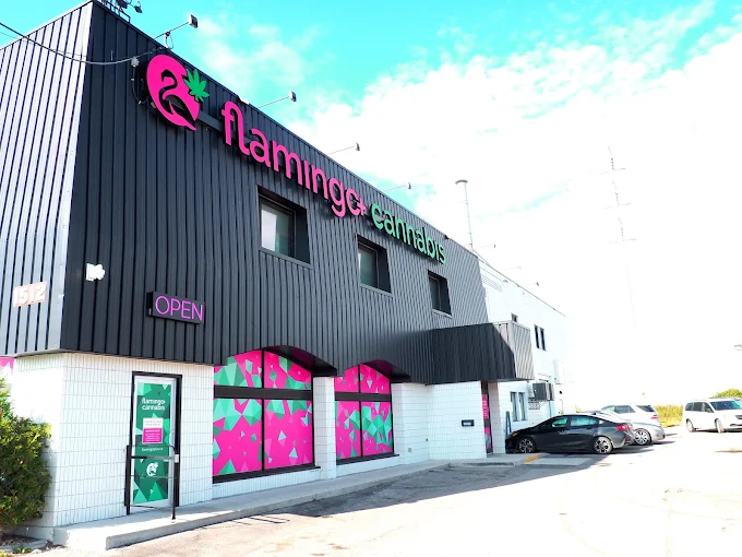 Flamingo + Cannabis - St. James Street store front
