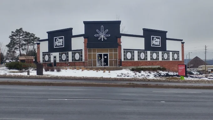 One Plant - One Plant - Barrie - Essa Road store front
