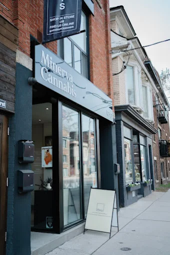 Minerva Cannabis - Minerva Cannabis store front