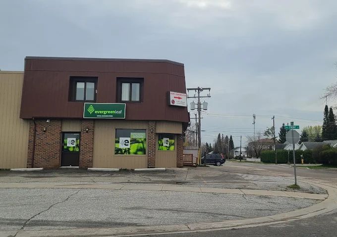 Evergreen Leaf - Evergreen Leaf - Hearst store front