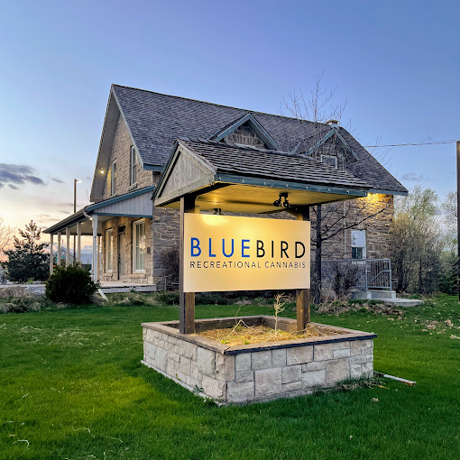 BlueBird Cannabis - Kanata store front