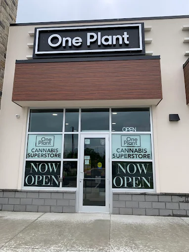 One Plant - One Plant - Ridgeway store front