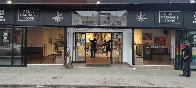 One Plant - One Plant - Toronto - Kensington Market store front