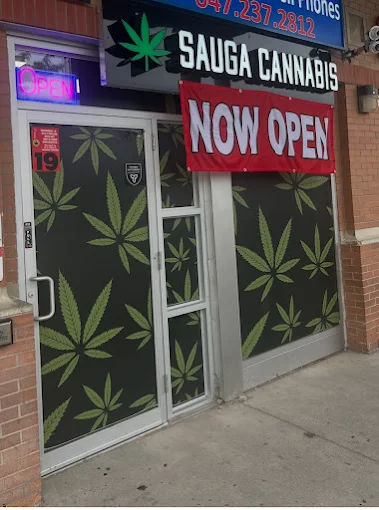 Sauga Cannabis - Sauga Cannabis store front