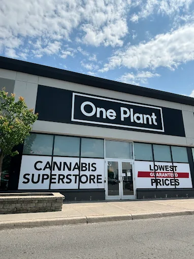 One Plant - One Plant - Kingston store front