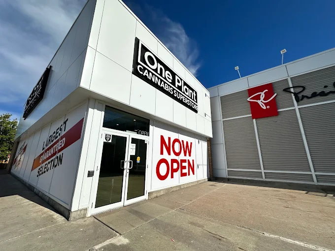 One Plant - One Plant - Orillia store front