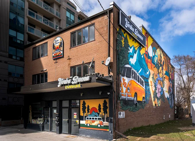 Yerba Buena Cannabis - Yerba Buena Cannabis - 910 Sheppard Ave. West store front