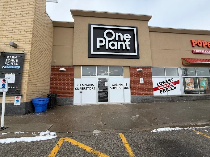 One Plant - One Plant - Bradford store front