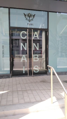 Thisel Cannabis - Thisel Cannabis - Toronto, Waterfront store front