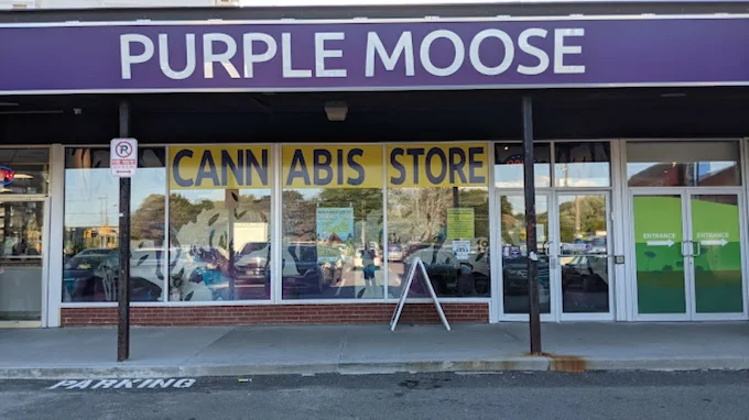 Purple Moose - Purple Moose - Bathurst St. store front