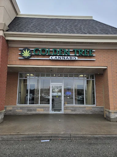 Golden Tree Cannabis - Golden Tree Cannabis - Brampton store front
