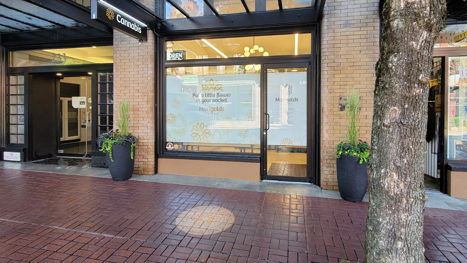 Marigolds Cannabis - Marigolds Cannabis - Davie St store front