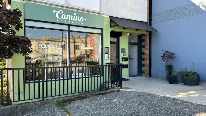 Camino Cannabis store front