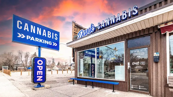 Dank Cannabis Weed Dispensary - Parkdale store front