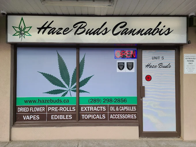 Haze Buds Cannabis - Haze Buds Cannabis store front