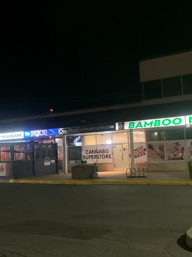 One Plant - One Plant - Arnprior store front