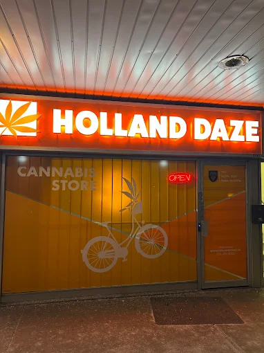 Holland Daze - Holland Daze - Brimley store front