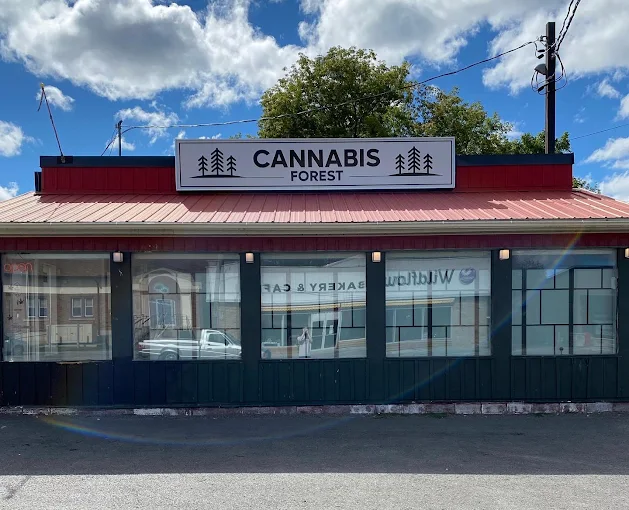 The Cannabis Forest - The Cannabis Forest store front
