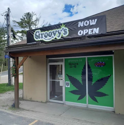Groovy's Dorset - Groovy's Dorset store front