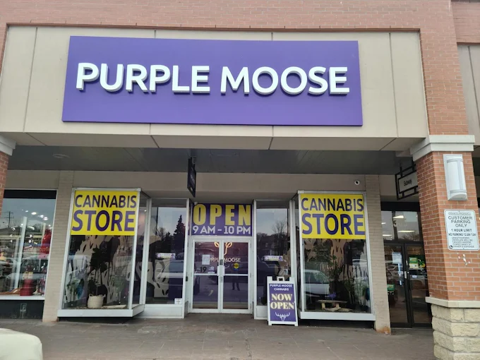 Purple Moose - Purple Moose - Lawrence Ave W store front