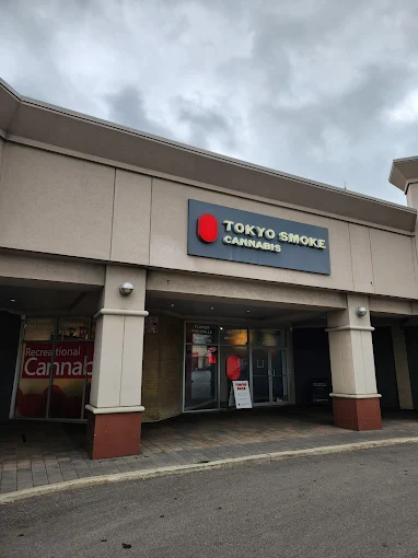 Tokyo Smoke - Tokyo Smoke - Hamilton Fennell Ave store front