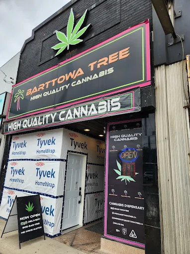 Barttowa Tree - Barttowa Tree store front