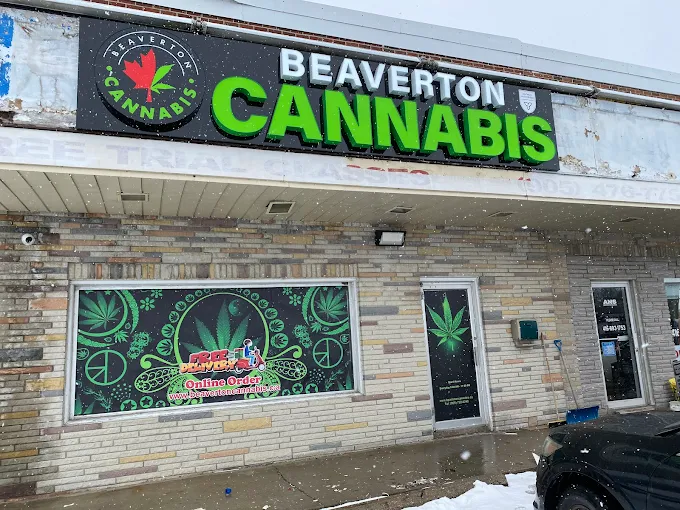 Beaverton Cannabis - Beaverton Cannabis - Georgina store front