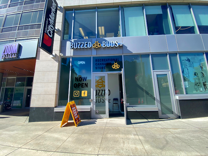 Buzzed Buds Co. - Buzzed Buds Co. - Toronto Yonge store front