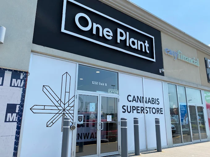 One Plant - Cornwall store front