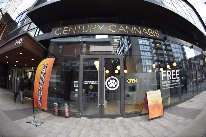 Century Cannabis - Century Cannabis store front