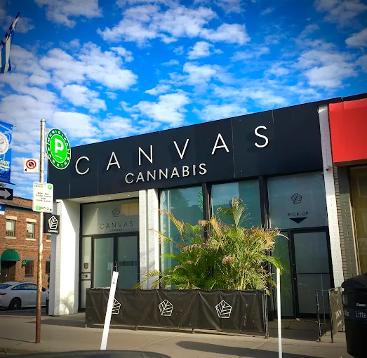 Canvas Cannabis - Canvas Cannabis - Danforth store front