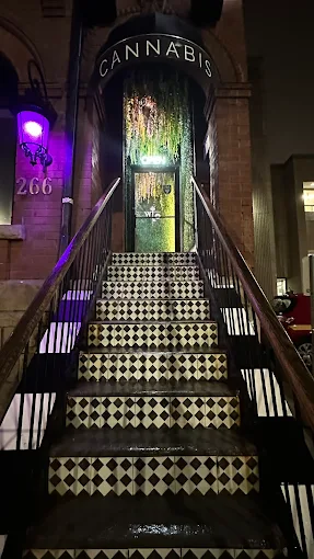 Wonderland Cannabis - Wonderland Cannabis - Adelaide store front