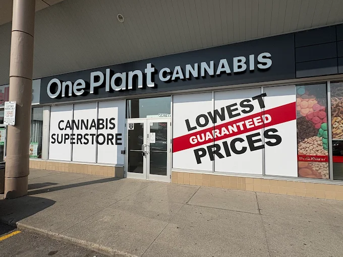 One Plant - One Plant - Toronto - VP & Danforth store front