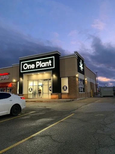 One Plant - One Plant - Brockville store front