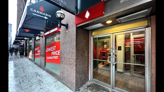 Canna Cabana - Canna Cabana - Toronto – Yonge Street store front