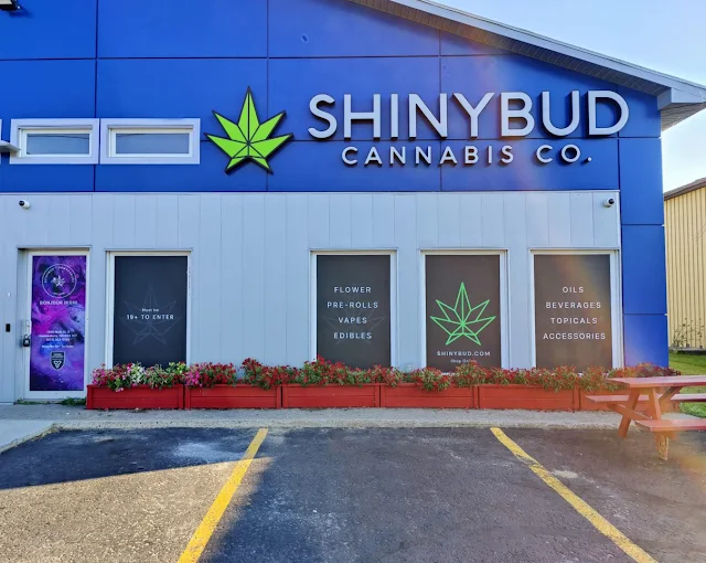 Shiny Bud - Shiny Bud - Brampton store front