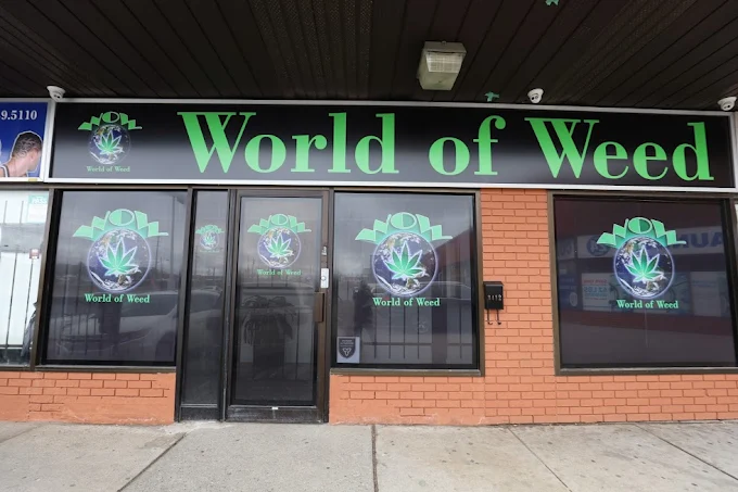 WOW World of Weed - WOW World of Weed - North York store front