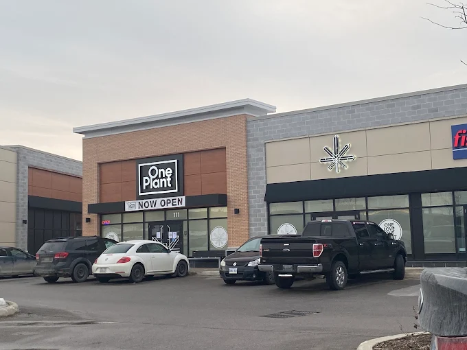 One Plant - One Plant - Barrie - Cundles Road store front
