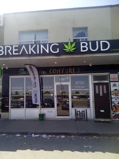 Breaking Bud Cannabis - Breaking Bud Cannabis - Eglinton store front