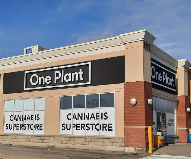 One Plant - One Plant - Hamilton store front