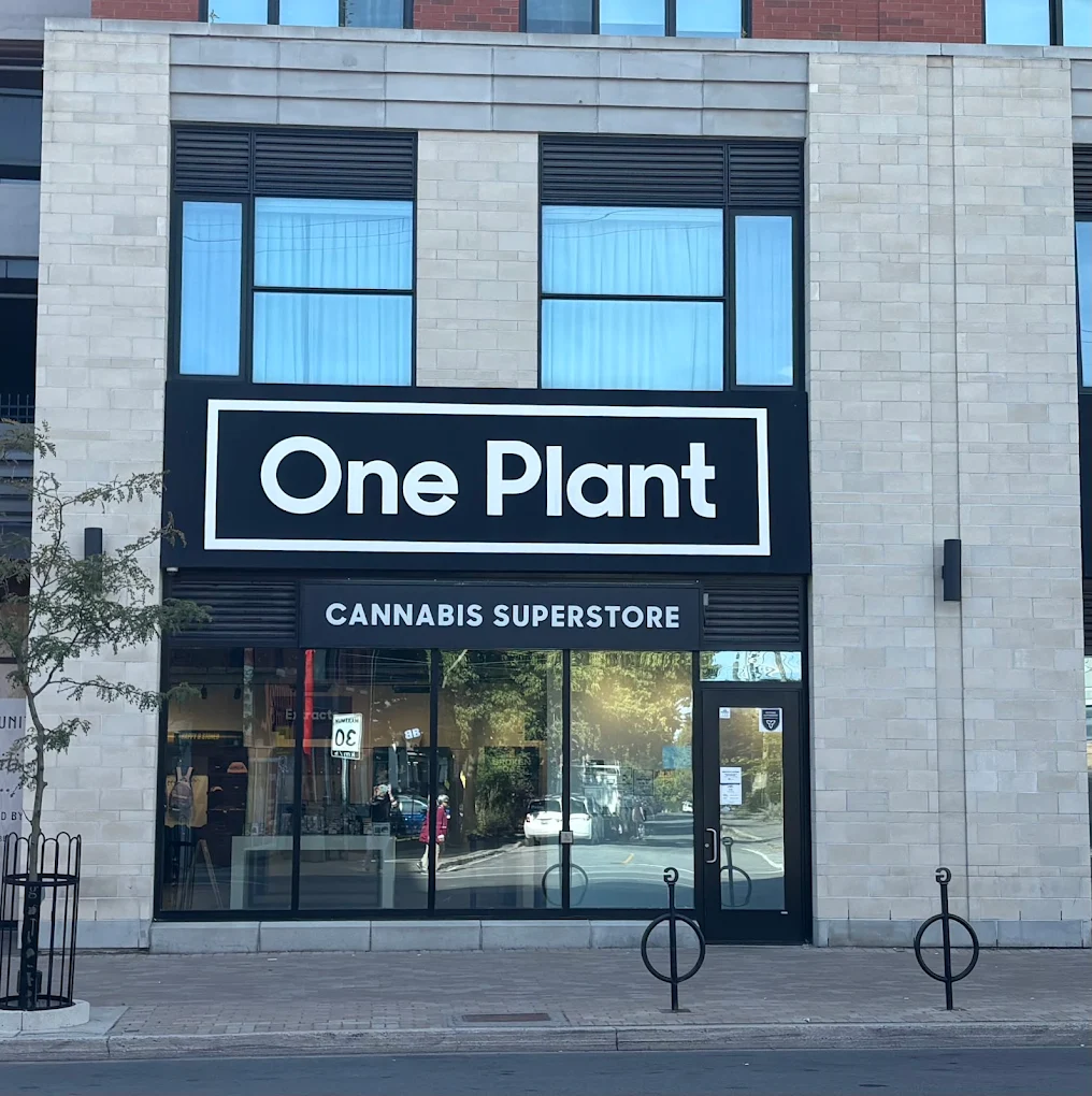 One Plant - Ottawa - The Glebe store front
