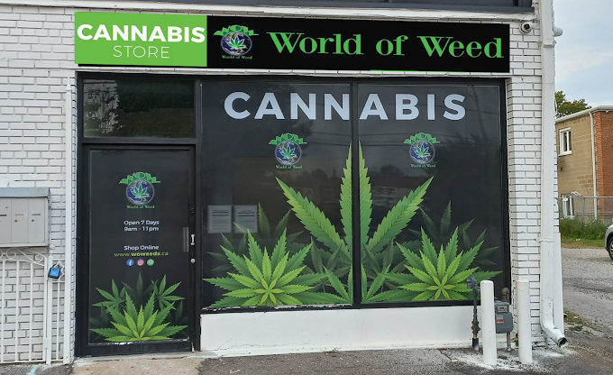 WOW World of Weed - WOW World of Weed - South Mississauga store front